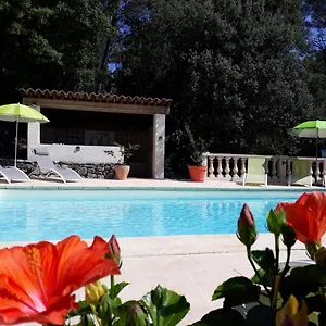Des Hibiscus Trans-en-Provence